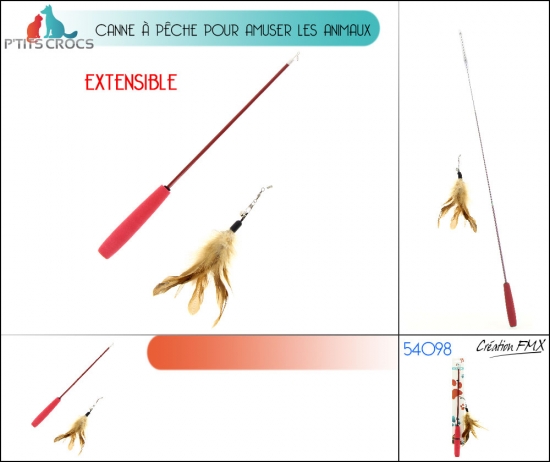 Canne à pêche pour amuser les animaux  / 2 modèles asst.