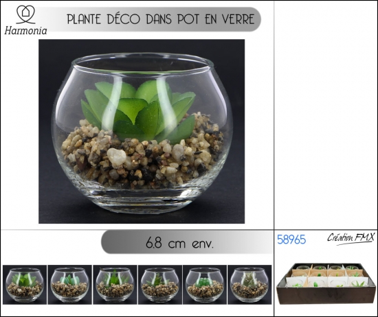 Plante déco dans pot en verre diametre 6,8cm env  - 6 asst